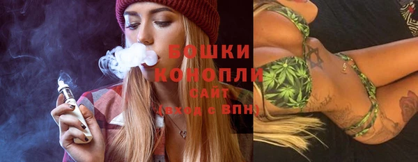мдпв Няндома
