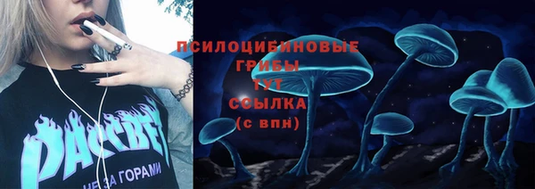 мдпв Няндома