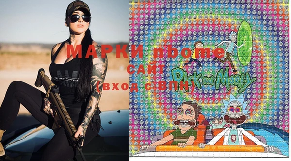 мдпв Няндома
