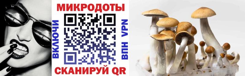 darknet состав  даркнет сайт  Петровск-Забайкальский  Галлюциногенные грибы Magic Shrooms  MEGA маркетплейс 